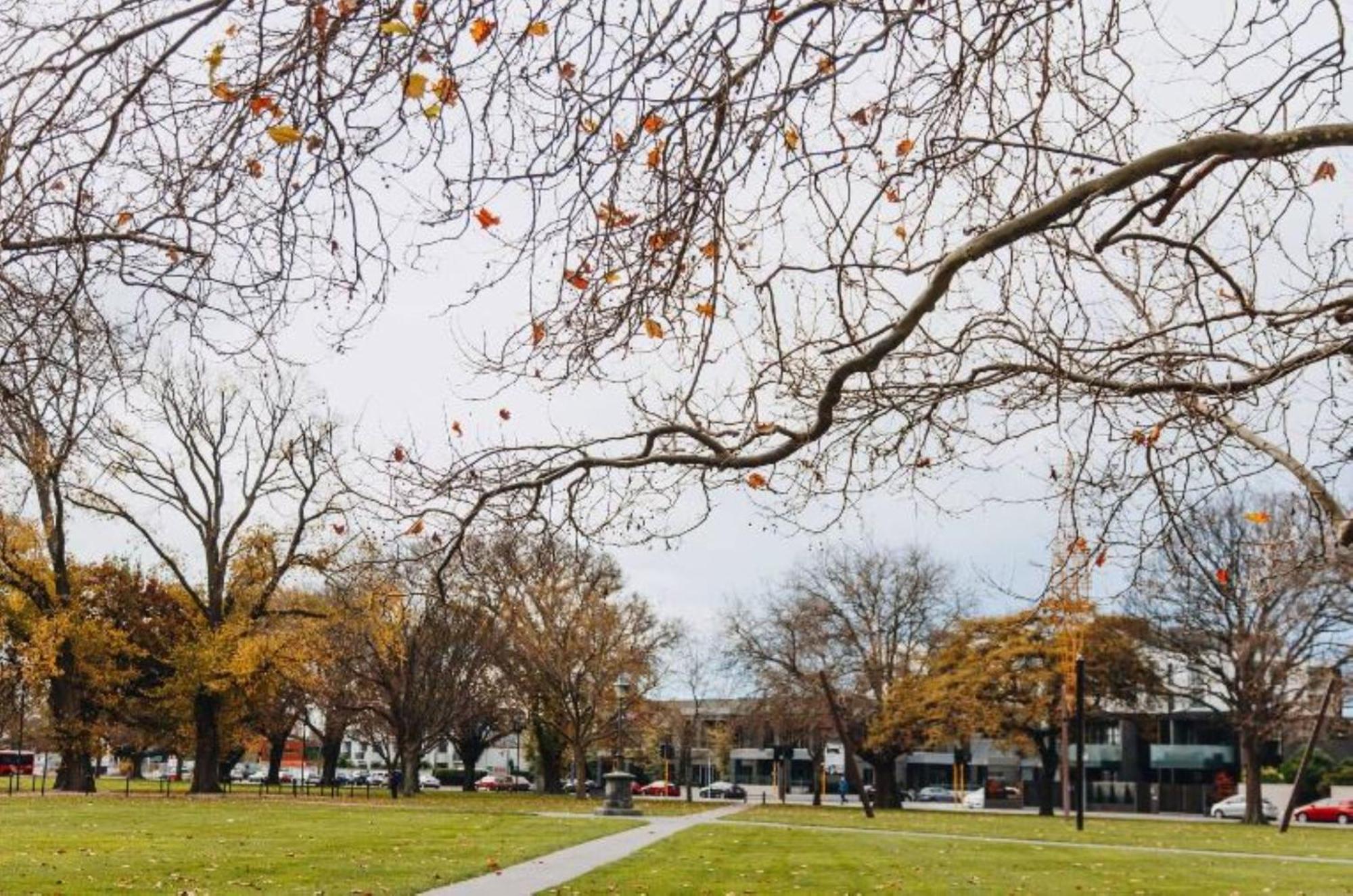 Inner City Delight Walk To Cathedral Square Christchurch Dış mekan fotoğraf